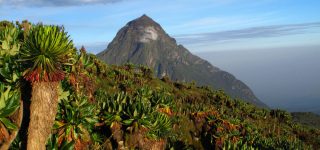 History of Virunga National Park