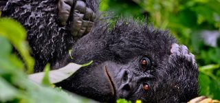 10 Interesting things about DRC Congo that you should know