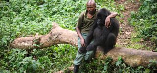 Is Virunga Safe