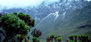 Rwenzori Mountains DRC