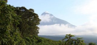 Virunga Conservation Area