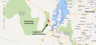 Kahuzi Biega