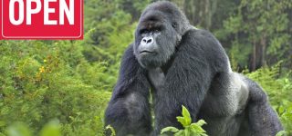 virunga national park Reopens