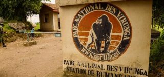 Getting to Virunga National Park