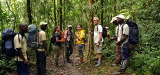 Essentials for a Virunga Safari