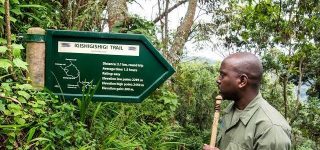 Hiking trails in Nyungwe Forest National Park