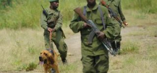Virunga-National-Park-Ranger-Attack