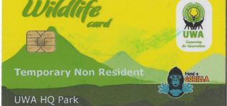 Gorilla trekking permits in Uganda 2021