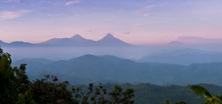 Famous Virunga Mountains
