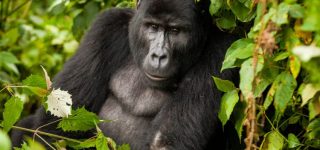 DR Congo Finally Joins The East African Community