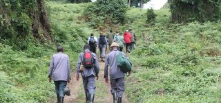 A Travelers’ Guide to Virunga