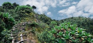 Hiking Mount Sabyinyo