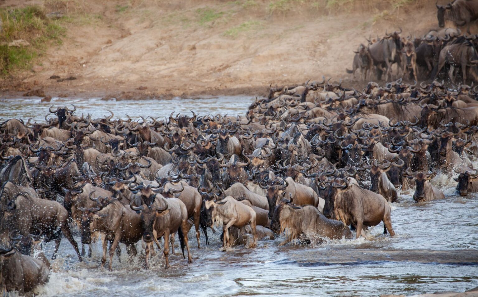 Serengeti national Park | Tanzania National Parks | Visit Tanzania