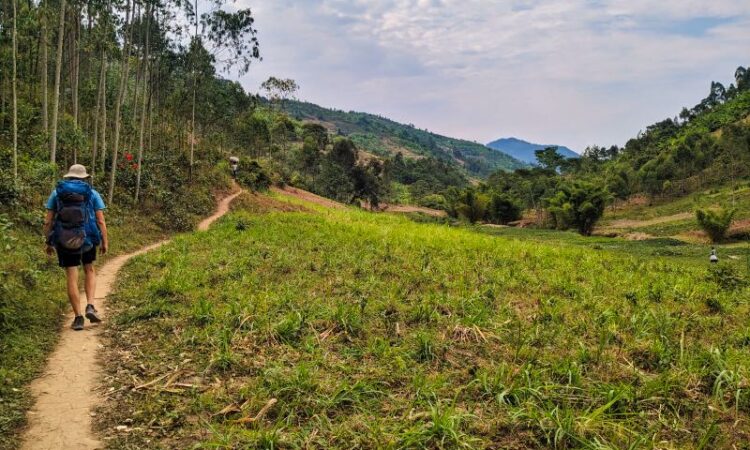 4 Days Congo Nile Trail Hike Tour in Rwanda