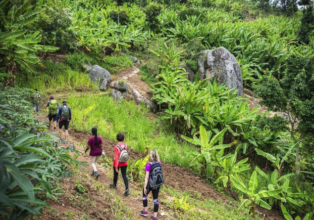 4 Days Congo Nile Trail Hike Tour in Rwanda