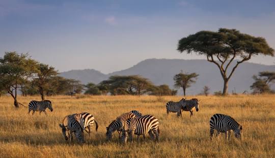 Serengeti national Park