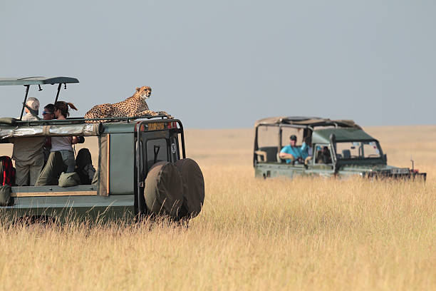 6 Days Kenya and Tanzania Family Safari