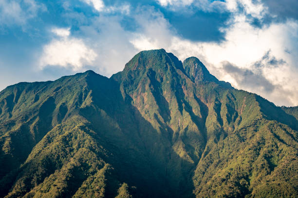 Explore The Virunga Massif in East Africa